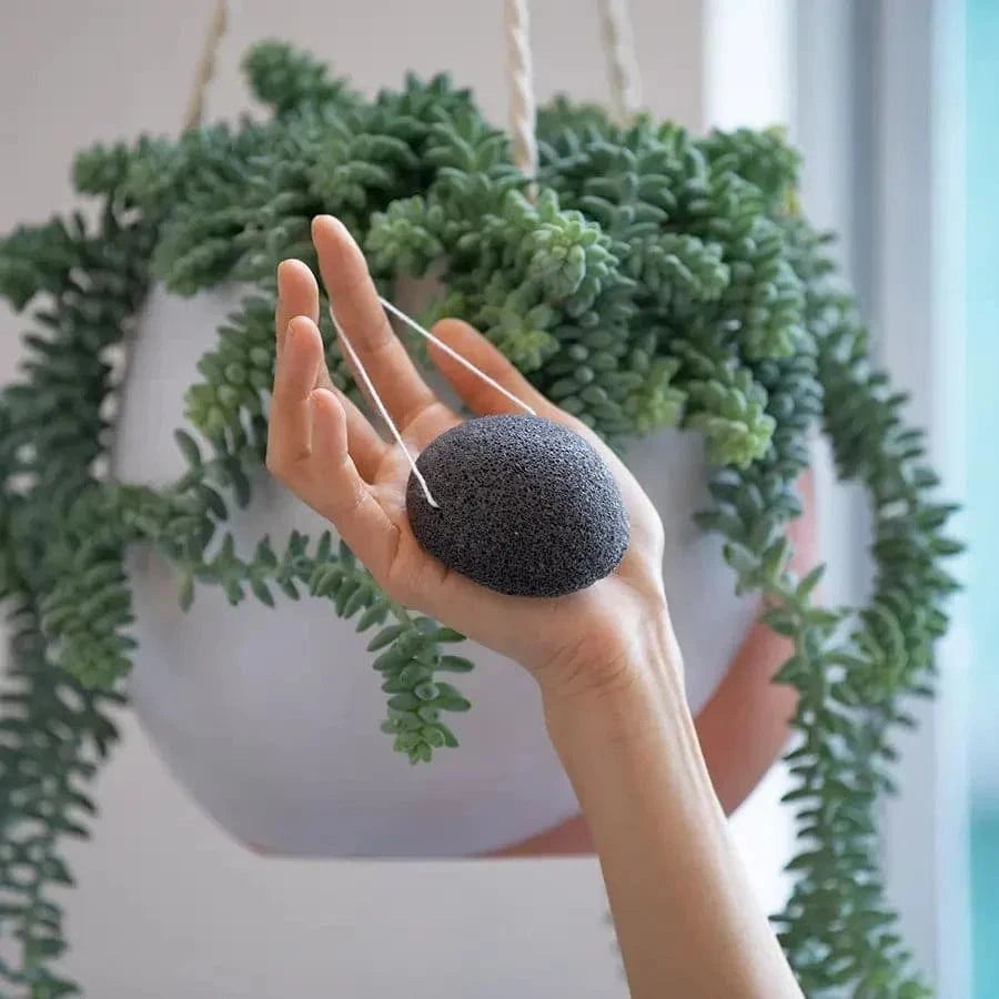 Konjac Facial Sponge in charcoal grey, round shape with a hanging string, soft porous texture visible in hand.