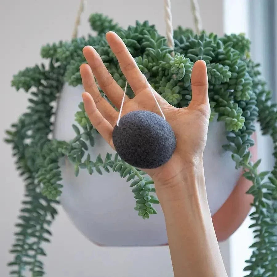 Konjac Facial Sponge in charcoal black with a round shape and string loop, held in a hand against a backdrop of green hanging plants.