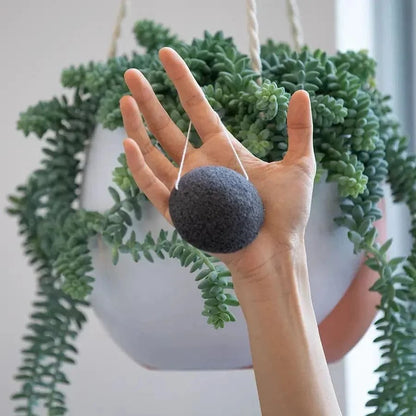 Konjac Facial Sponge in charcoal black with a round shape and string loop, held in a hand against a backdrop of green hanging plants.