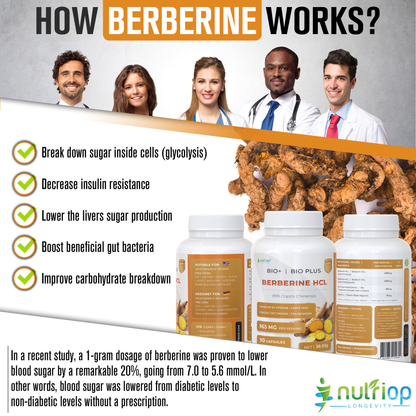 Nutriop Bio-Enhanced Berberine HCL dietary supplement capsules, dual-source metabolic AMPK activator for overall health.