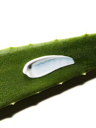 Crème Solaire Apaisante à l'Aloe SPF50+/ PA+++