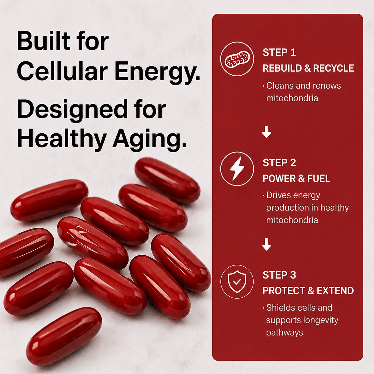 Urolithin A Supplement softgels in glossy dark red, designed for cellular energy, healthy aging, and mitochondrial support.