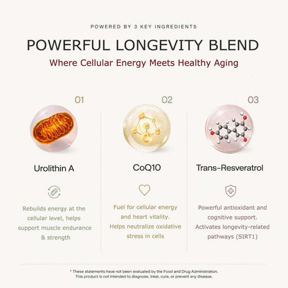 Supplement information chart showing Urolithin A Supplement with orange mitochondria graphic, CoQ10 with yellow molecule, and Trans-Resveratrol with gray molecule illustration