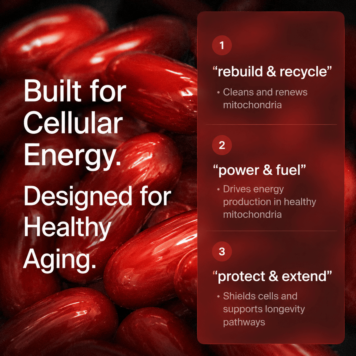 Close-up of shiny red Urolithin A Supplement softgels, highlighting their smooth oval shape for easy swallowing and absorption.