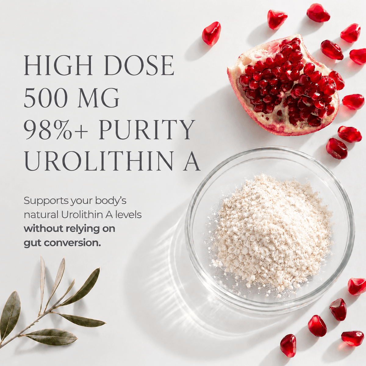 Urolithin A Supplement powder in a clear glass bowl alongside pomegranate seeds and a pomegranate half on a white surface