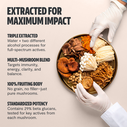 Organic Mushroom Complex supplement capsules by FreshCap Mushrooms, showing a close-up of the capsules in a transparent container.