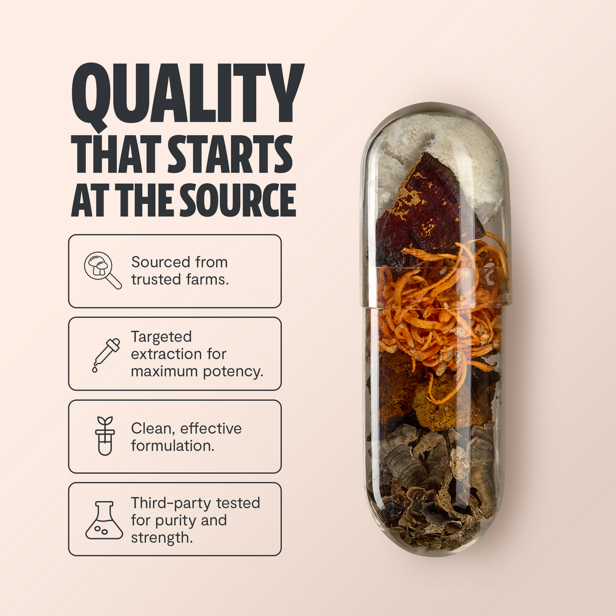 FreshCap Mushrooms Organic Mushroom Complex supplement capsules, close-up of capsule bottles with label and fresh mushrooms in background.