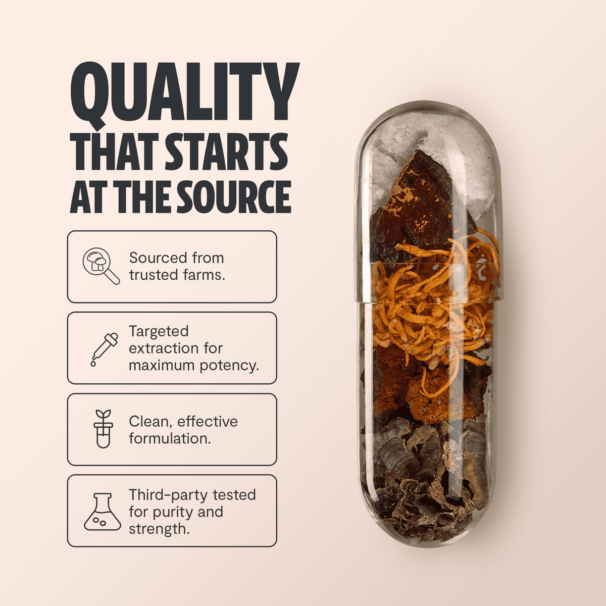 FreshCap Mushrooms Organic Mushroom Complex supplement capsules, displaying black capsules with green and white labeling.